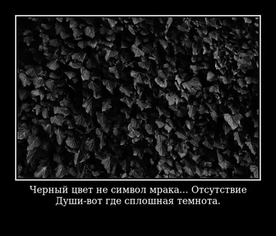Красивые черно-белые фотографии (30 картинок) ⚡ Фаник.ру