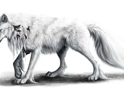 черный волк Аватар PNG , волк здесь, творческие головы животных, дикие  животные PNG картинки и пнг PSD рисунок для бесплатной загрузки