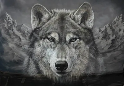 Коллекция силуэтов волка в полный рост - TemplateMonster