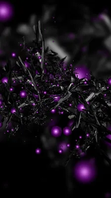 Фиолетово черные обои на телефон - фото и картинки abrakadabra.fun