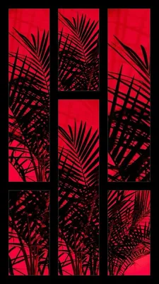 Современные модные черно-красные обои для стен бумажные в крупную полоску  абстракция узоры 0,53*10м (ID#1368361712), цена: 101 ₴, купить на Prom.ua