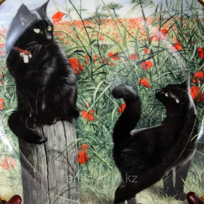 Черные кошки осенью - 68 фото