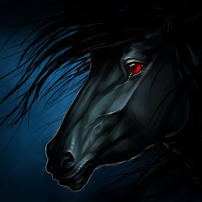 Пин от пользователя Susan Nicholson на доске Creatures | Красивые лошади, Черные  лошади, Фризская лошадь