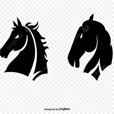 Пин от пользователя Tessa на доске equestrian | Фризская лошадь, Черные  лошади, Красивые лошади