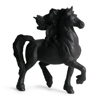 Черный Андалузской Лошади Работает Фотография, картинки, изображения и  сток-фотография без роялти. Image 39581176