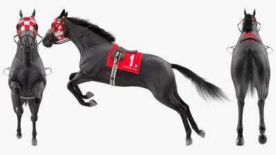 Черная лошадь рисунок - 77 фото