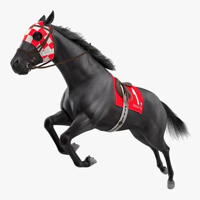 Черный Жеребец Спортивная Чёрная Лошадь Лошадь Чистокровная Красивая Лошадь  стоковое фото ©YAYImages 259610884