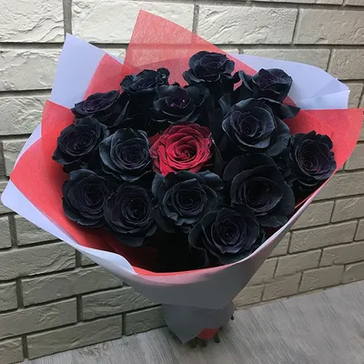 Стабилизированные чёрные розы на стеблях в интернет-магазине Ярмарка  Мастеров по цене 16500 ₽ – PQ5LCRU | Цветы сухие и стабилизированные,  Москва - доставка по России