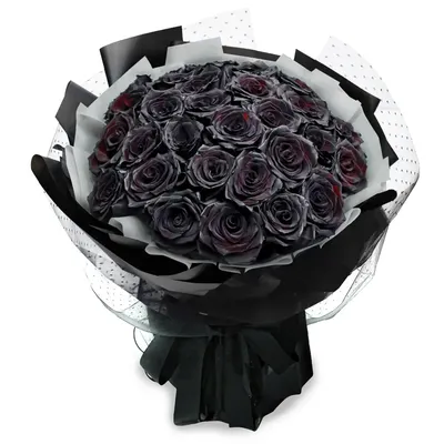 Черные розы Халфети: редкий цветок черная роза