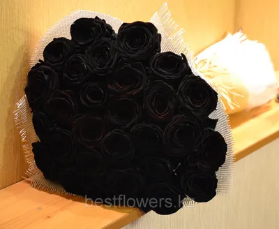 Букет из Голландских черных роз, сорт Черный принц