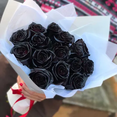 Купить букет из 51 черной розы в Омске