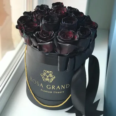 Три чёрные розы» — создано в Шедевруме