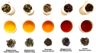 Чёрный чай \"Эксклюзивный Бергамот Эрл Грей\", `SIKKIM`, Чайная и чай онлайн
