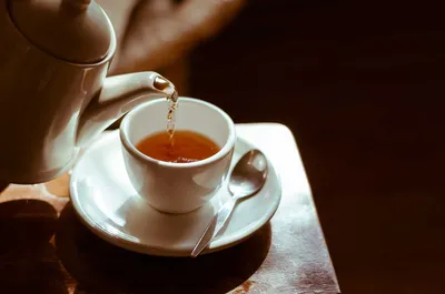 Черный чай с побегами сосны 40гр ПЭТ банка с логотипом - цена от 552 руб |  Купить в Санкт-Петербурге