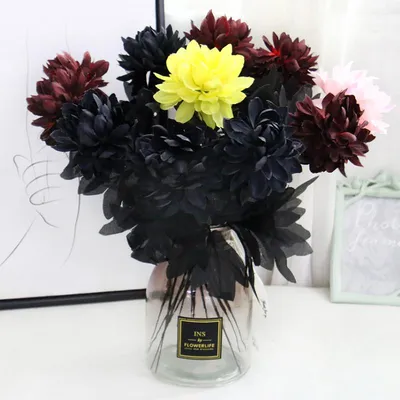 Черный георгин цветок - 76 фото