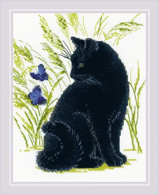 Черный кот рисунок карандашом - 68 фото