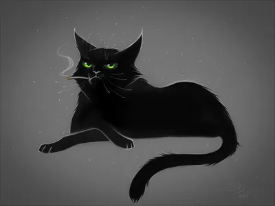 Собака и кошка, котенок, рисунок, черная кошка, усы, морда, бомбей,  черно-белый, черный, Черное и белое, черный кот png | PNGWing