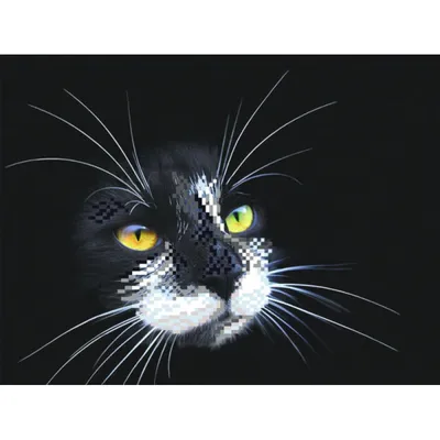 голубой и черный кот, черный котенок, рисунок карандашом, акварельный кот,  акварельная живопись, акварельные листья, тушь png | PNGWing