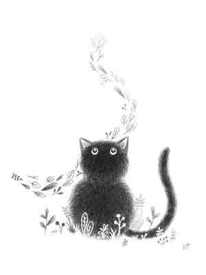 Фото Черный пушистый кот, by Chiakiro