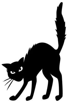 Черный котик с зелеными глазами - 78 фото