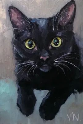 Черный кот смотрит на пузырьки. Рисунок - обои на рабочий стол