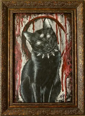 Самый милый эфир: черный кот Шерлок в студии «Мира Белогорья»