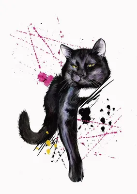 Чёрный кот (кабаре) — Википедия