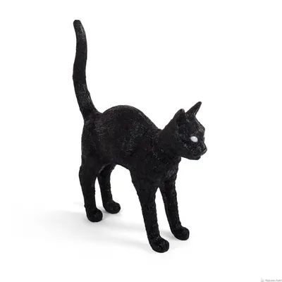 Фотокартина Черный кот арт. 1-1