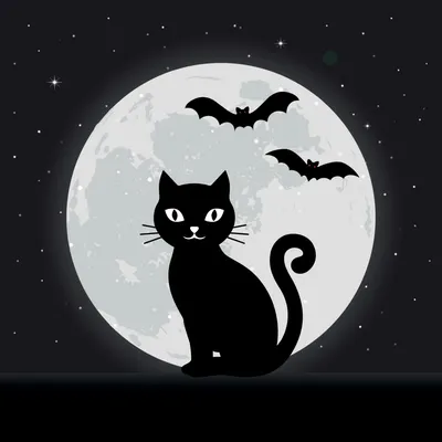 Sqwore – Черный кот (Black Cat) Lyrics | Genius Lyrics