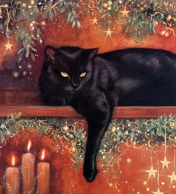 Жил да был чёрный кот | Библиотеки Архангельска