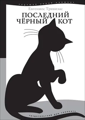 Кот спит в очень смешных позах — забавное видео — Новости Шымкента