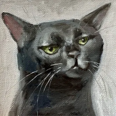 Черный кот снимает смешные видео о монстрах» — создано в Шедевруме