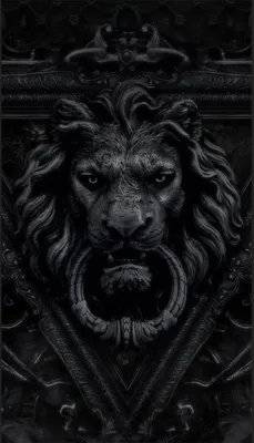 Черный лев Хан в поиске дома, цена Бесплатно купить в Гомеле на Куфаре -  Объявление №215433706