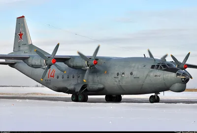 Черный тюльпан Цветок, тюльпан, фотография, растение Стебель, цветок png |  PNGWing