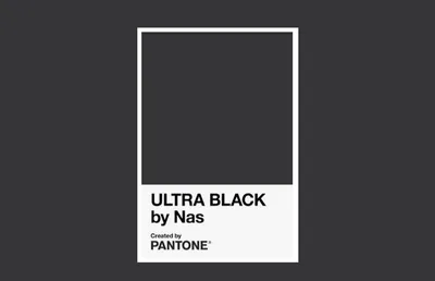 Pantone и рэпер Нас создали универсальный черный цвет | РБК Стиль