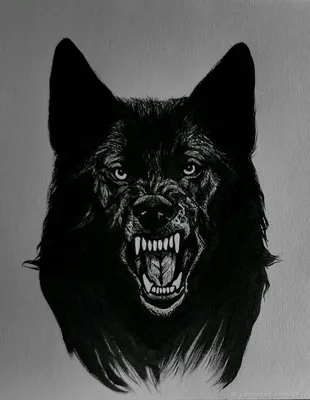 Тотем чёрный волк (рисунок) в интернет-магазине Ярмарка Мастеров по цене  2000 ₽ – SV7HCBY | Картины, Москва - доставка по России