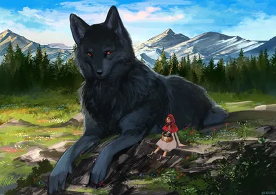 Канадский (черный) волк – Canis lupus pambasileus. Экспозиция Вольер хищных  млекопитающих. Сахалинский зооботанический парк.