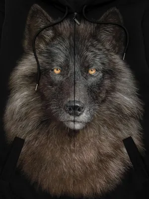 Черный волк :: Владимир Габов – Социальная сеть ФотоКто