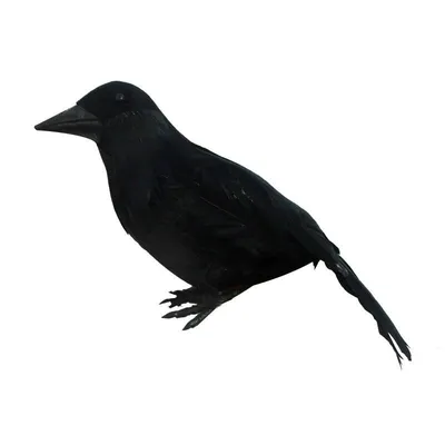 эскиз черный ворон тату 2 | Crow tattoo, Crows drawing, Tattoo sketches