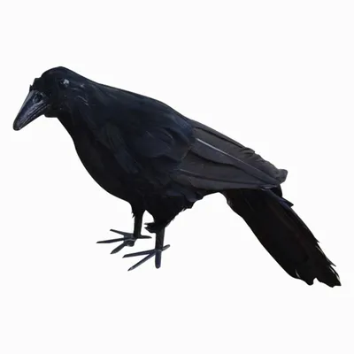 Декоративное украшение Черный ворон