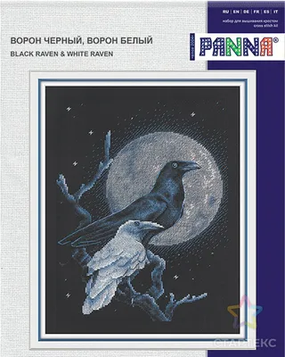 Иллюстрация Черный ворон | Illustrators.ru
