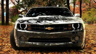 Обои на рабочий стол Серебристый Chevrolet Camaro в осеннем парке, обои для рабочего  стола, скачать обои, обои бесплатно