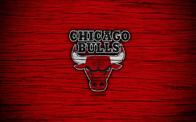 Обои Chicago Bulls 2010-11 Спорт NBA, обои для рабочего стола, фотографии  chicago, bulls, 2010, 11, спорт, nba, 2010-11, клуб, нба Обои для рабочего  стола, скачать обои картинки заставки на рабочий стол.