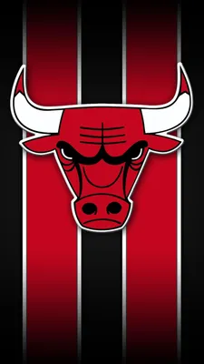 Chicago Bulls - Чикаго Буллз. Обои для рабочего стола. 1280x1024