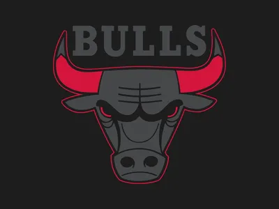 Скачать обои Chicago Bulls, basketball club, NBA, emblem, new logo, USA,  National Basketball Association, silk flag, basketball, Chicago, Illinois,  US basketball league, Central Division для монитора с разрешением  2560x1600. Картинки на рабочий