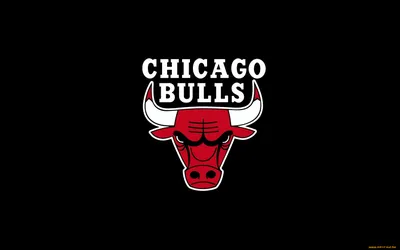 Картинки баскетбол, чикаго, Chicago bulls, логотип, nba, черный, быки -  обои 2560x1440, картинка №40645