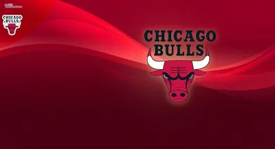 Картинка Chicago Bulls для телефона и на рабочий стол iPhone 12 Pro