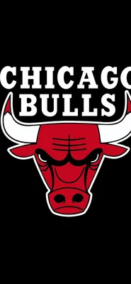 Playseat NBA - Chicago Bulls, бял/червен | Desktop.bg - Мощни PC Гейминг  конфигурации, Персонални компютри на изплащане за игри и работа