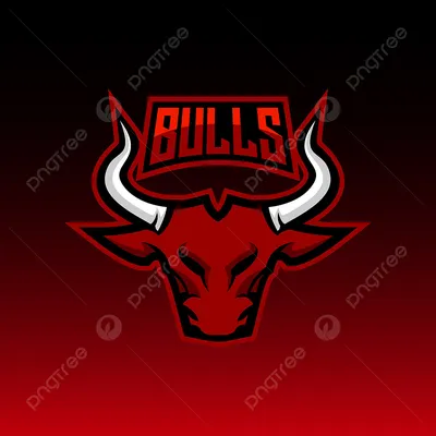 Футболка игровая NBA Chicago Bulls новая.23 Jordan – купить в  Санкт-Петербурге, цена 1 500 руб., продано 7 января 2021 – Спортивная одежда