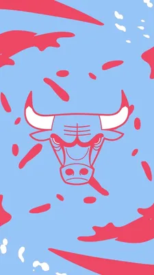 Chicago Bulls | LinkedIn